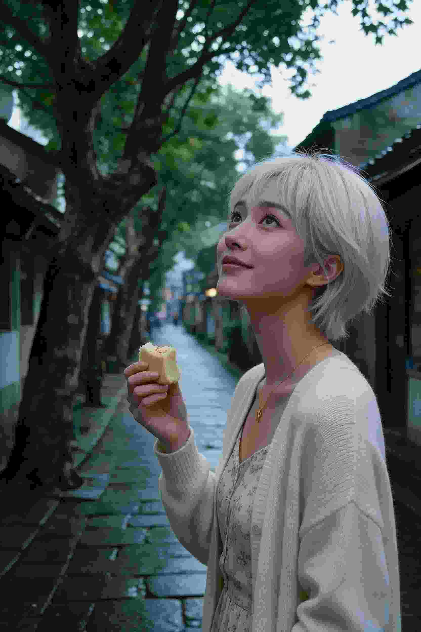 沙漠秘密