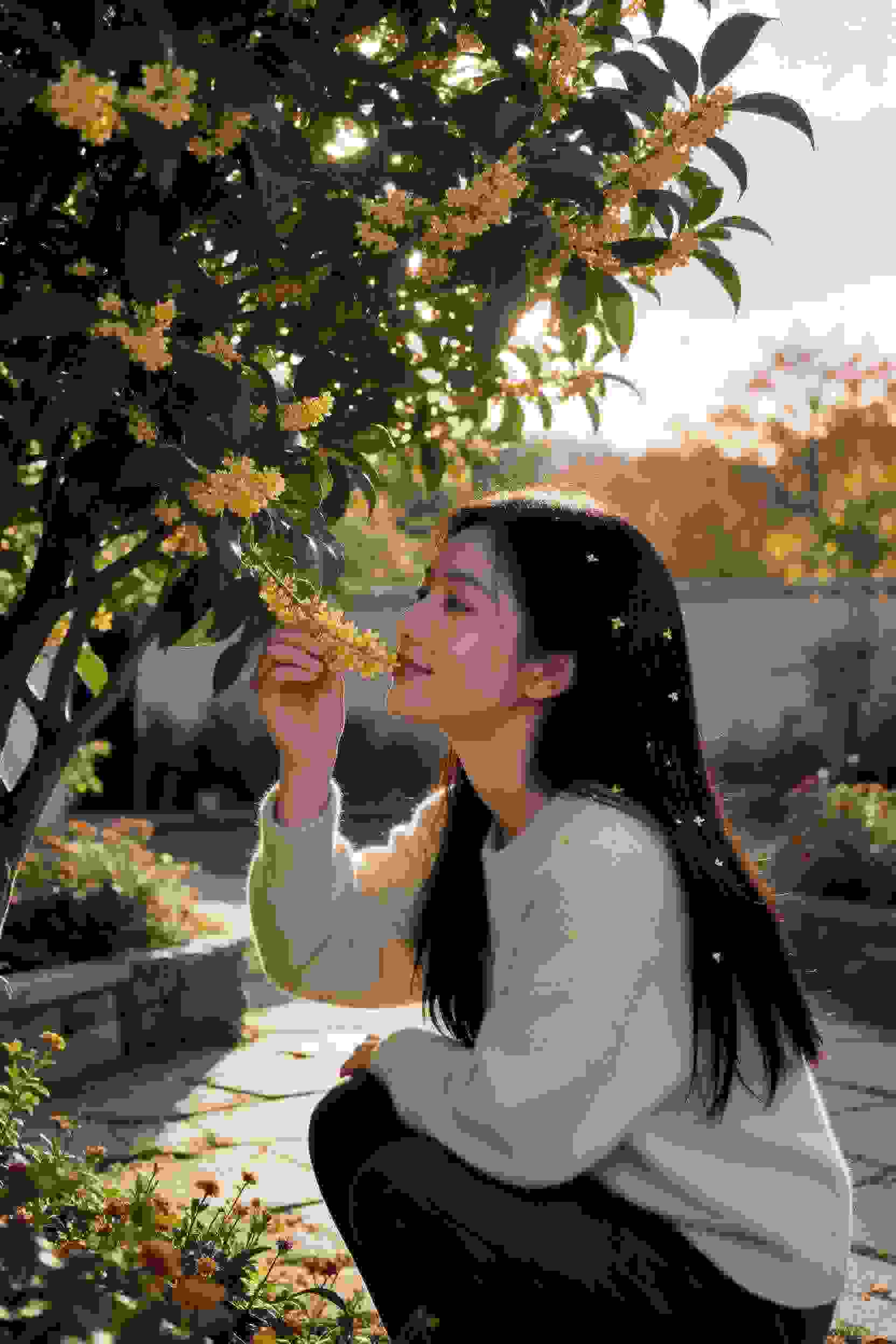 荒漠奇谈